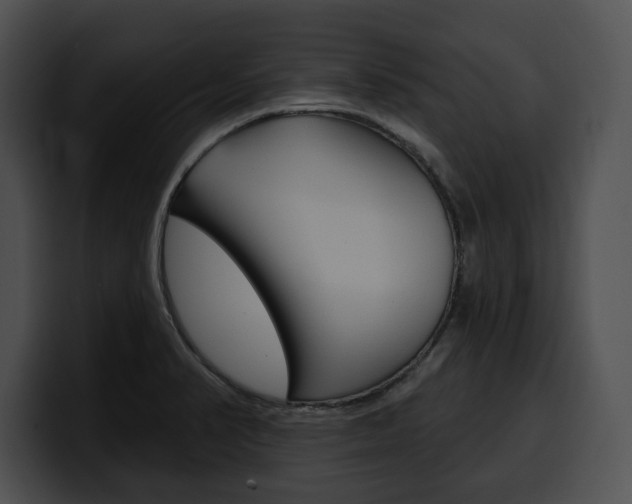 X0000100501374200806130721