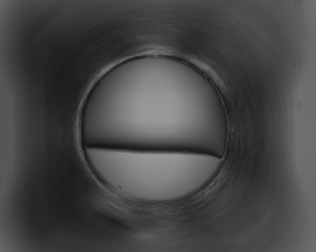 X0000100501375200806130721