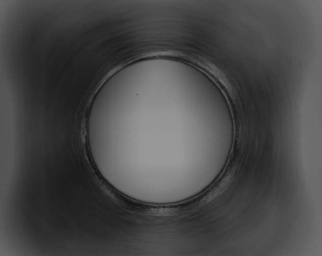 X0000100501377200806130721