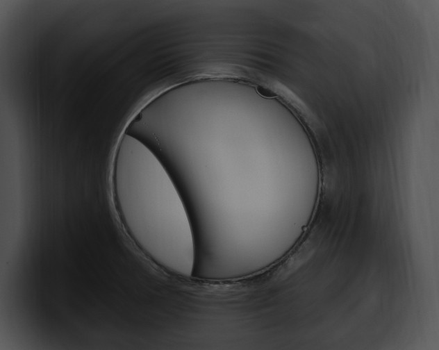 X0000100501378200806130721