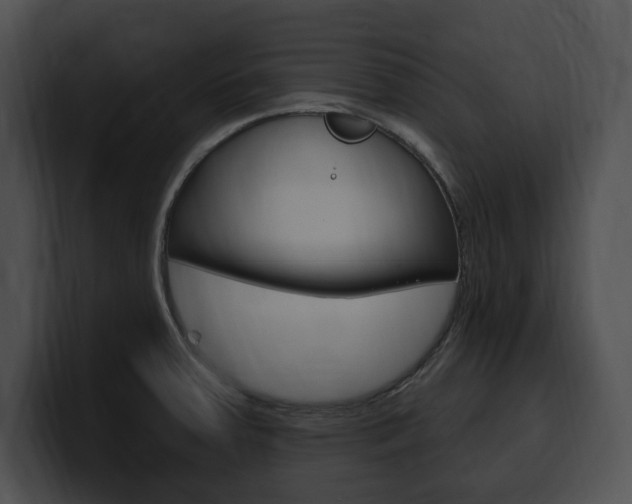 X0000100501379200806130721