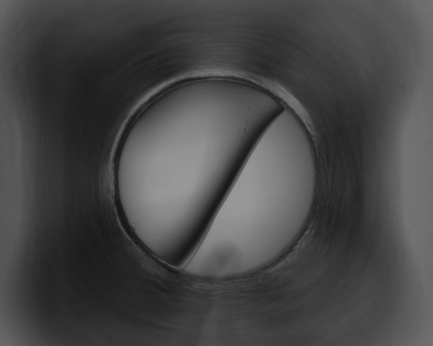 X0000100501380200806130721