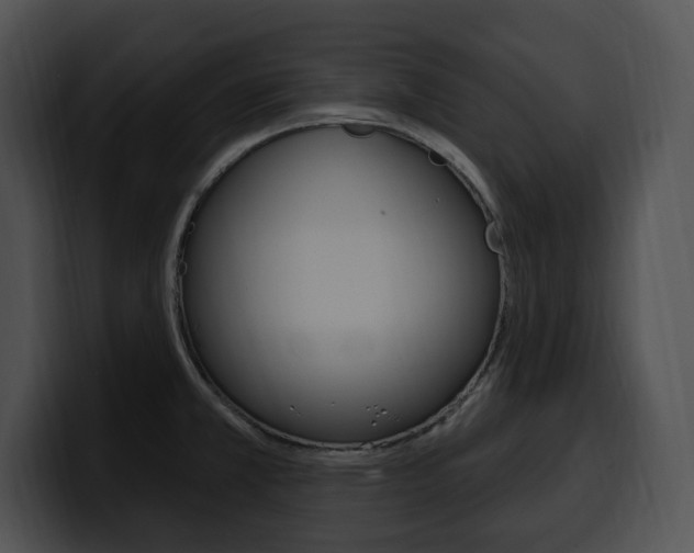 X0000100501381200806130721