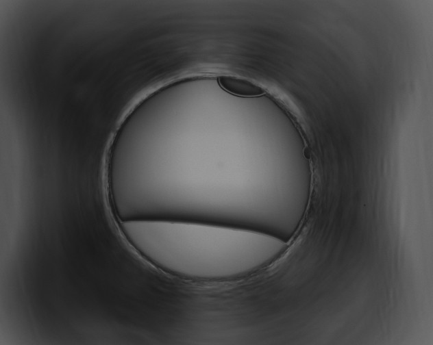 X0000100501382200806130721