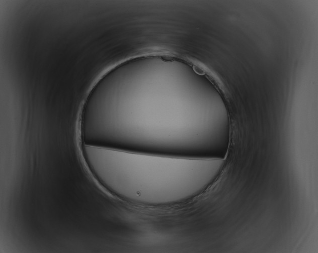 X0000100501383200806130721