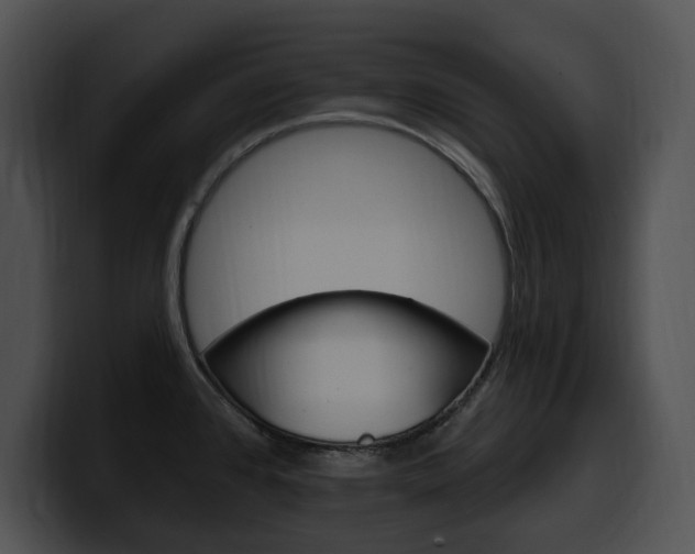 X0000100501384200806130721