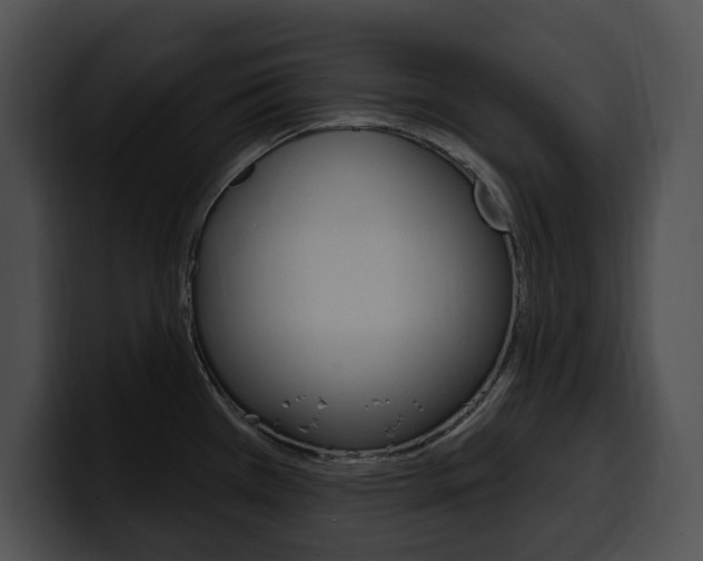 X0000100501385200806130721