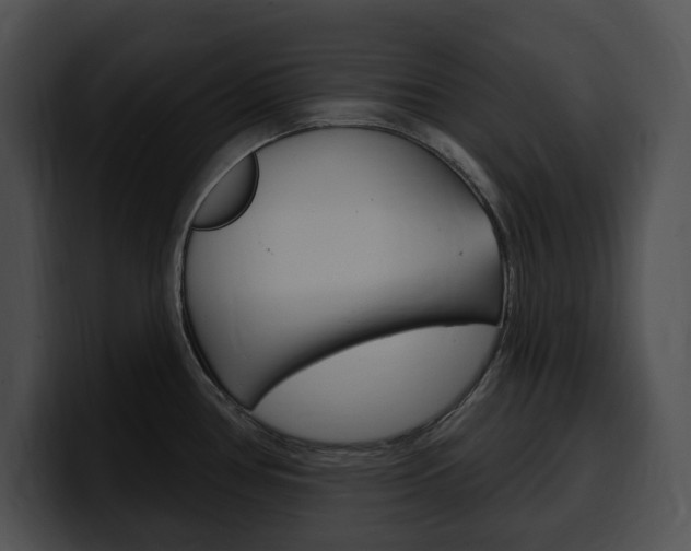 X0000100501386200806130721