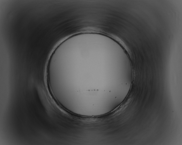 X0000100501387200806130721