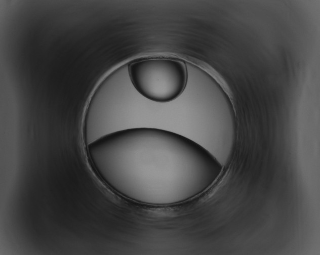 X0000100501388200806130721