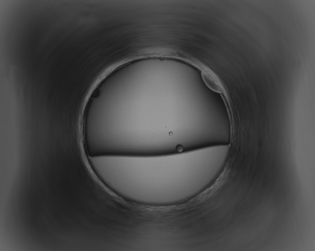 X0000100501389200806130721