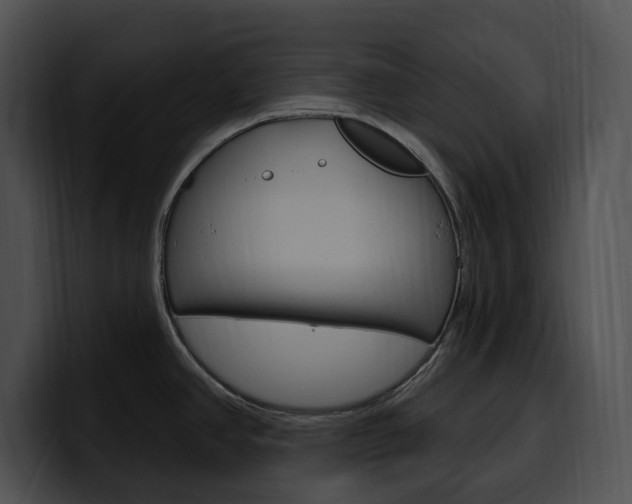 X0000100501390200806130721