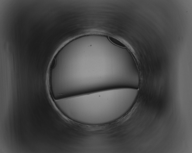 X0000100501391200806130721
