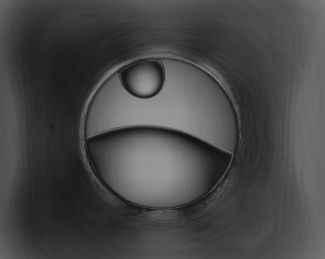 X0000100501392200806130721
