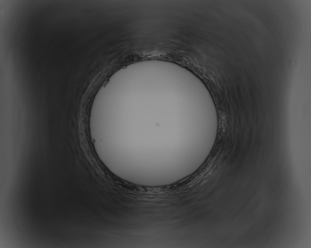 X0000100501393200806130720