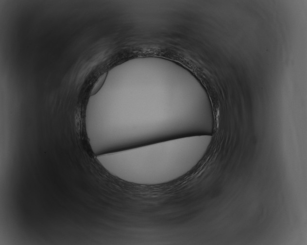 X0000100501395200806130720