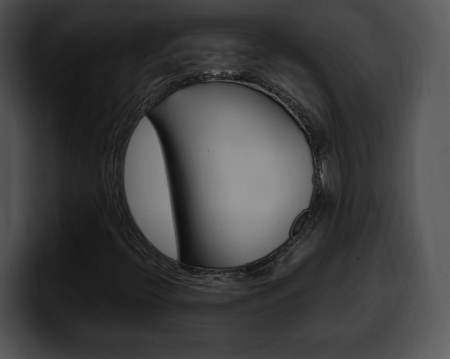 X0000100501396200806130720