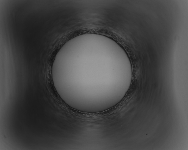 X0000100501397200806130720