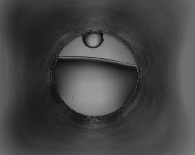 X0000100501398200806130720
