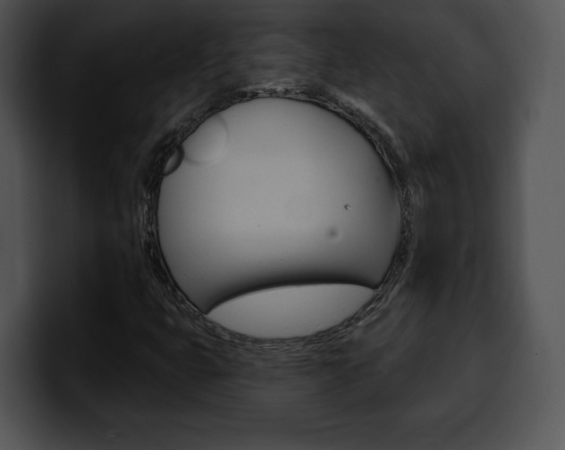 X0000100501399200806130720