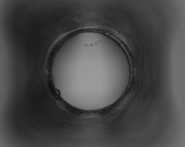 X0000100501400200806130720