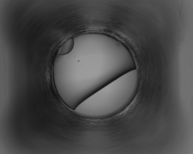 X0000100501401200806130720