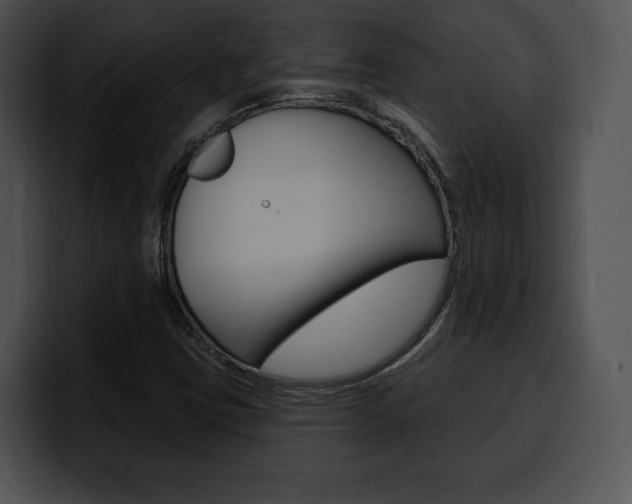 X0000100501403200806130720