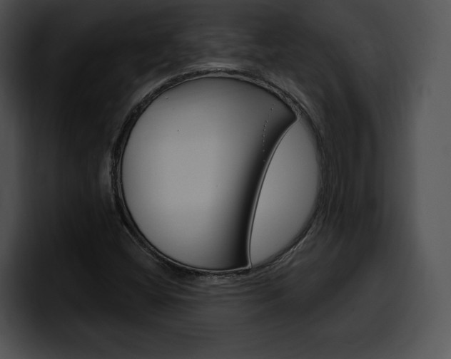 X0000100501404200806130720