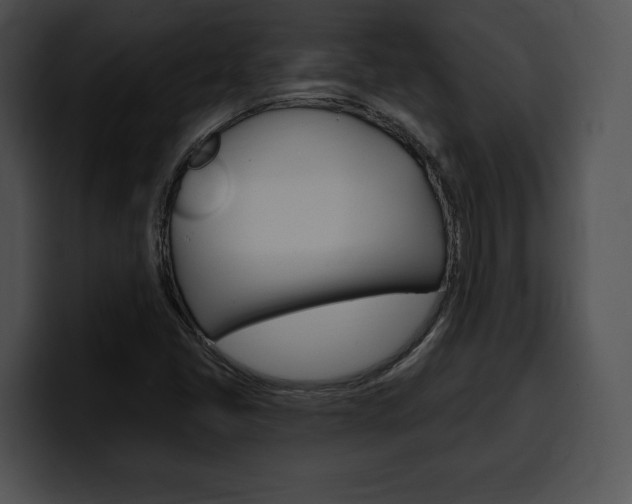 X0000100501405200806130720