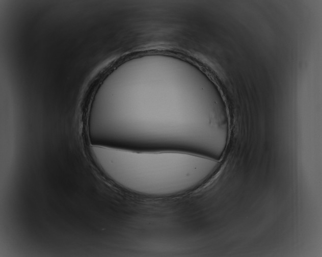 X0000100501406200806130720