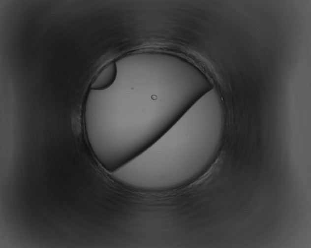 X0000100501409200806130720