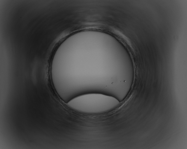 X0000100501411200806130720