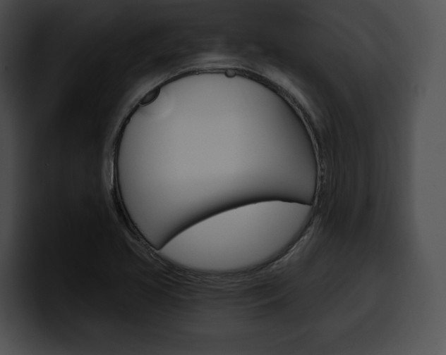 X0000100501413200806130720