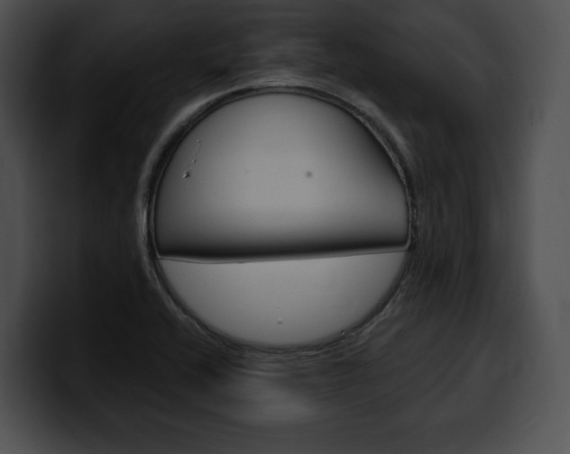 X0000100501416200806130720