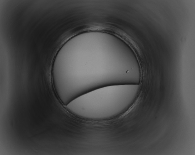 X0000100501417200806130720