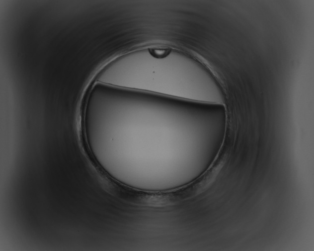 X0000100501418200806130720