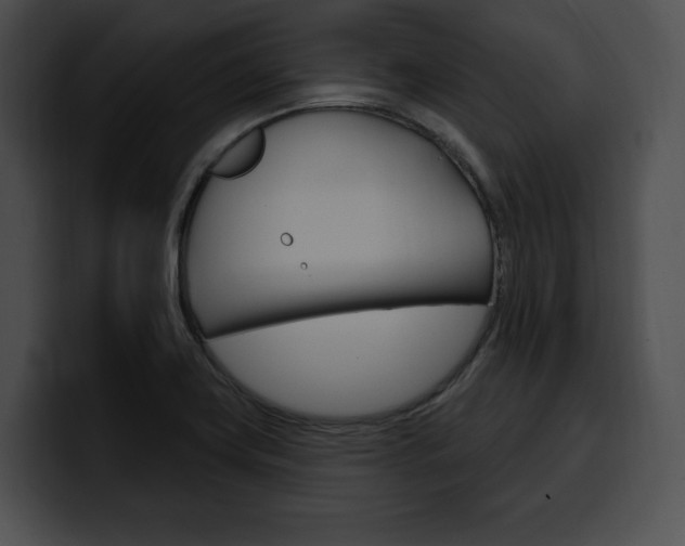 X0000100501419200806130720