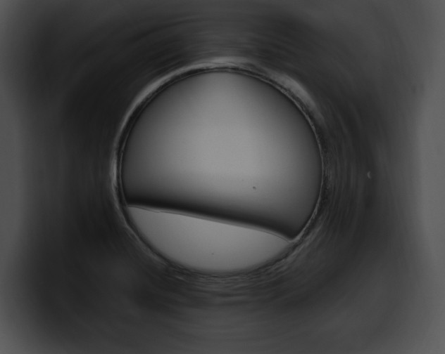 X0000100501420200806130720