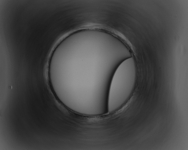 X0000100501421200806130720