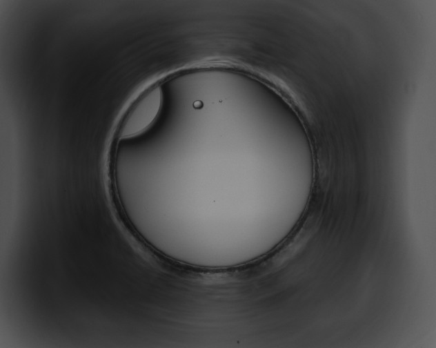X0000100501422200806130720