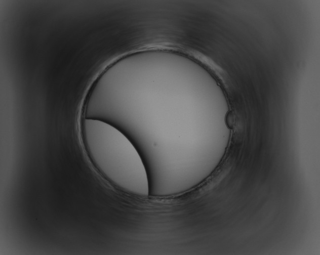 X0000100501423200806130720