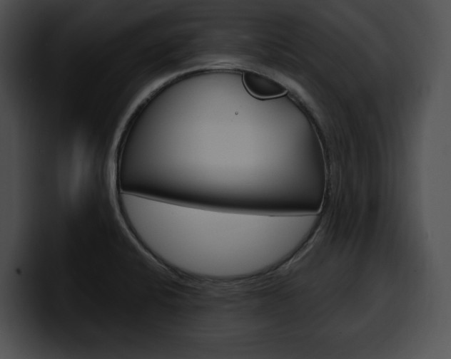 X0000100501424200806130720