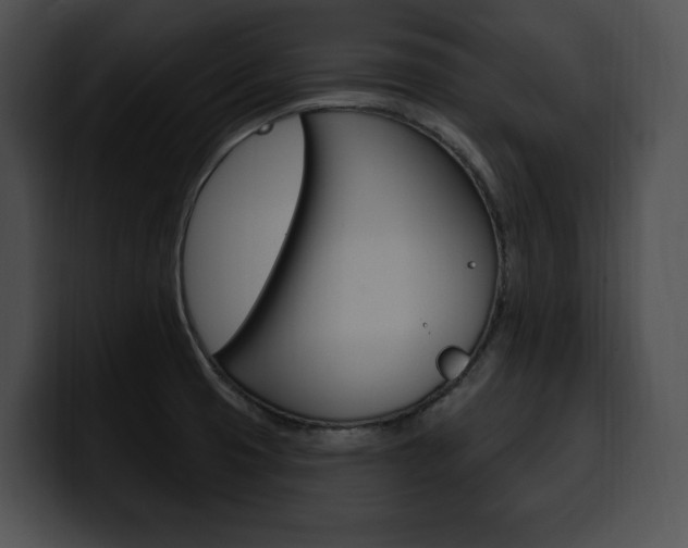 X0000100501425200806130721