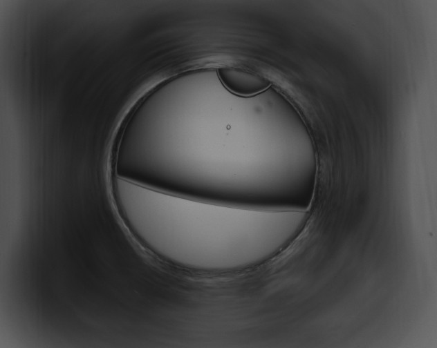 X0000100501426200806130721