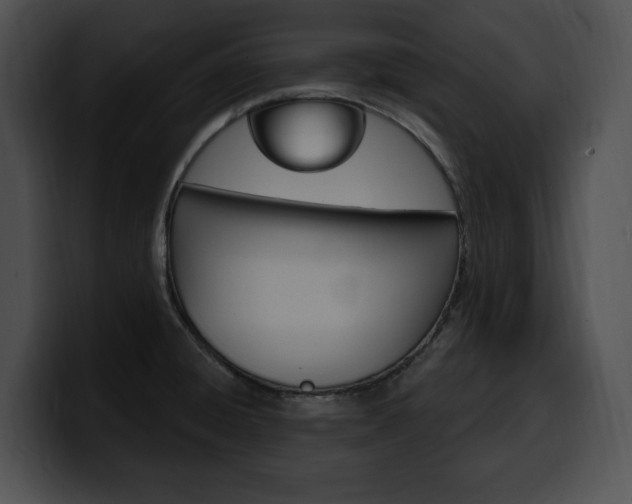 X0000100501428200806130721