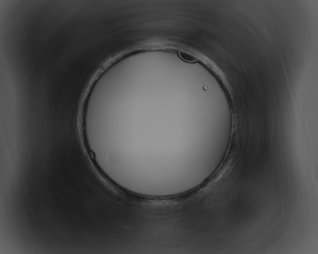 X0000100501429200806130721