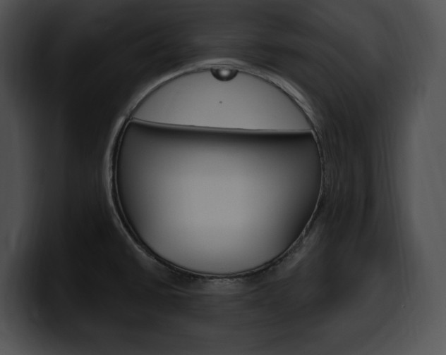 X0000100501430200806130721