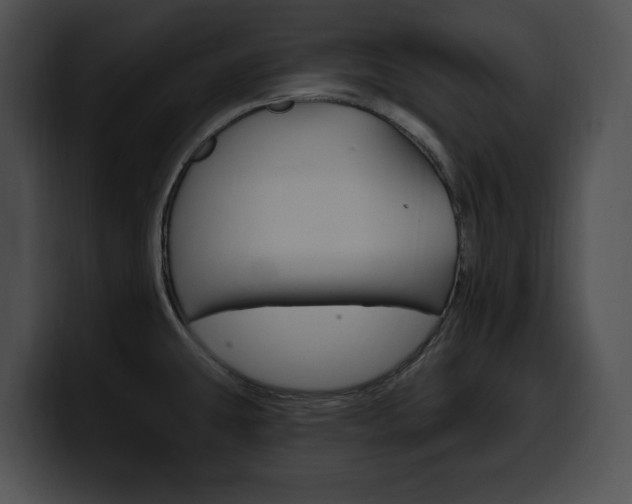 X0000100501431200806130721