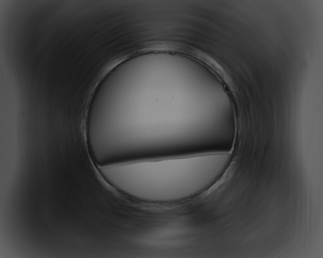 X0000100501433200806130721