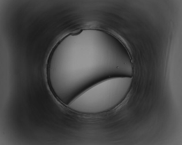X0000100501434200806130721